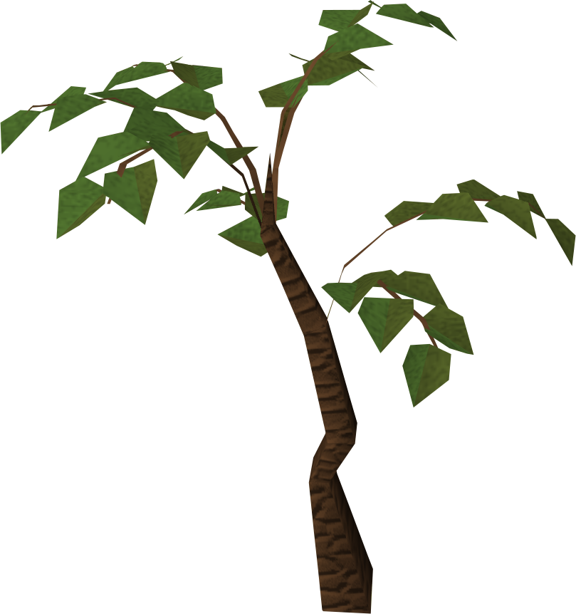 Plants clipart sapling. Jungle tree runescape wiki