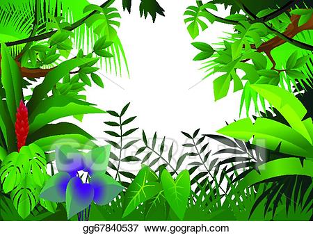 rainforest clipart rainforest background