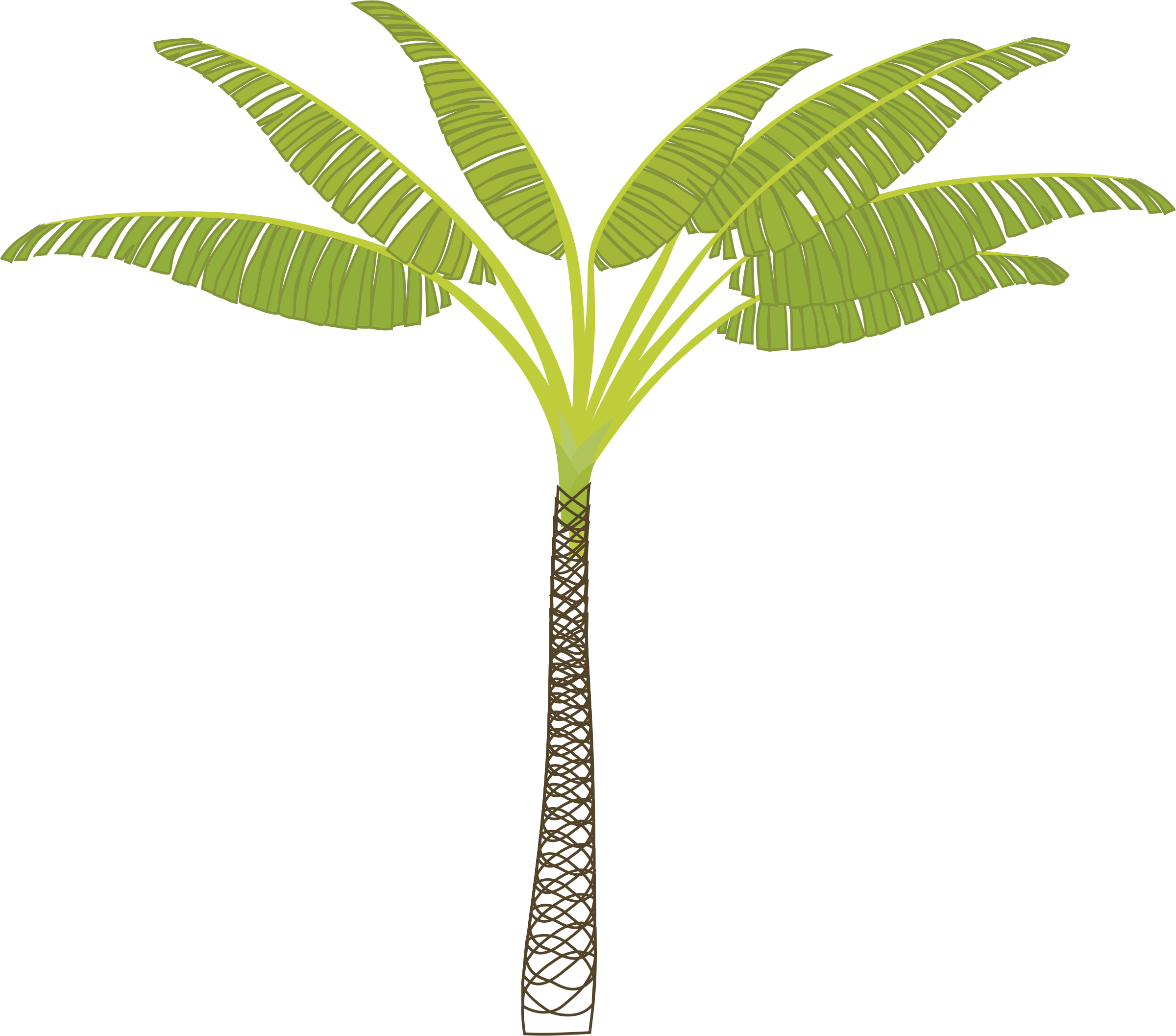 jungle clipart palm tree