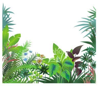 Jungle trees clip art. Rainforest clipart park tree
