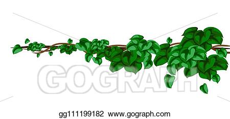 jungle clipart rainforest vine