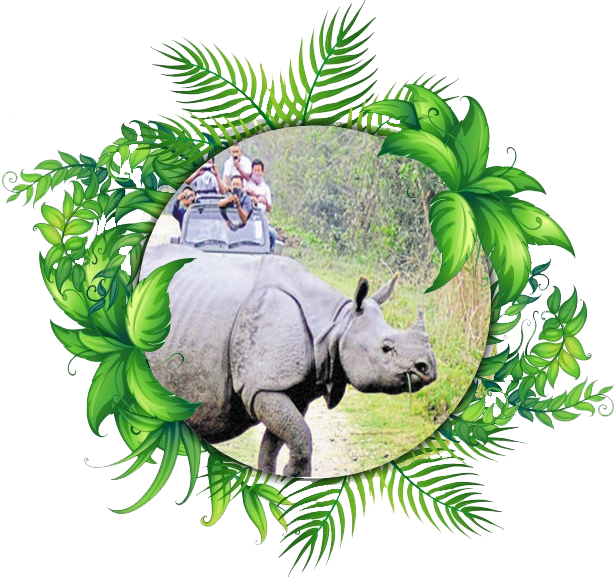 jungle clipart rhino