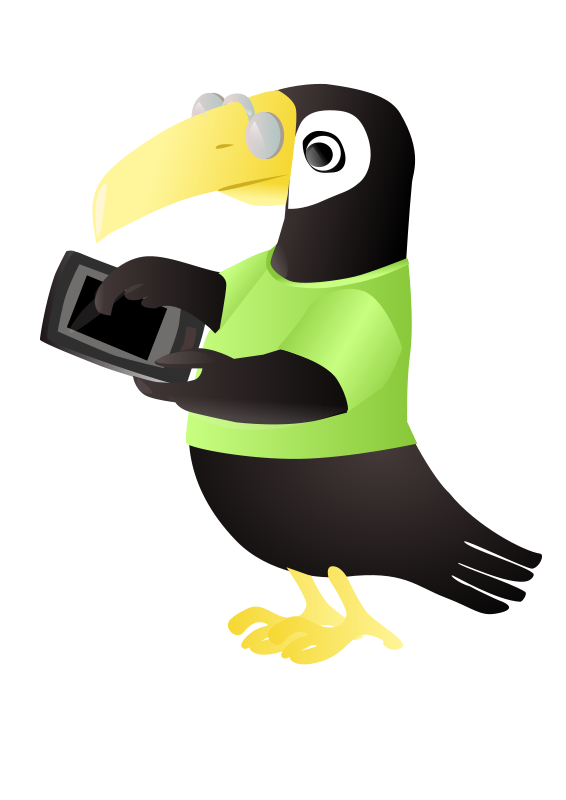 Free stock stockio com. Jungle clipart toucan