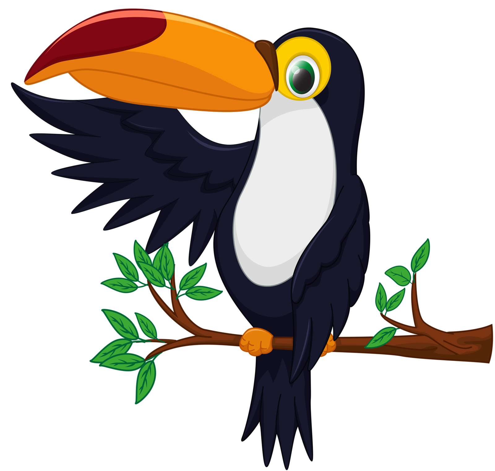 Jungle clipart toucan.  soloveika bird pinterest