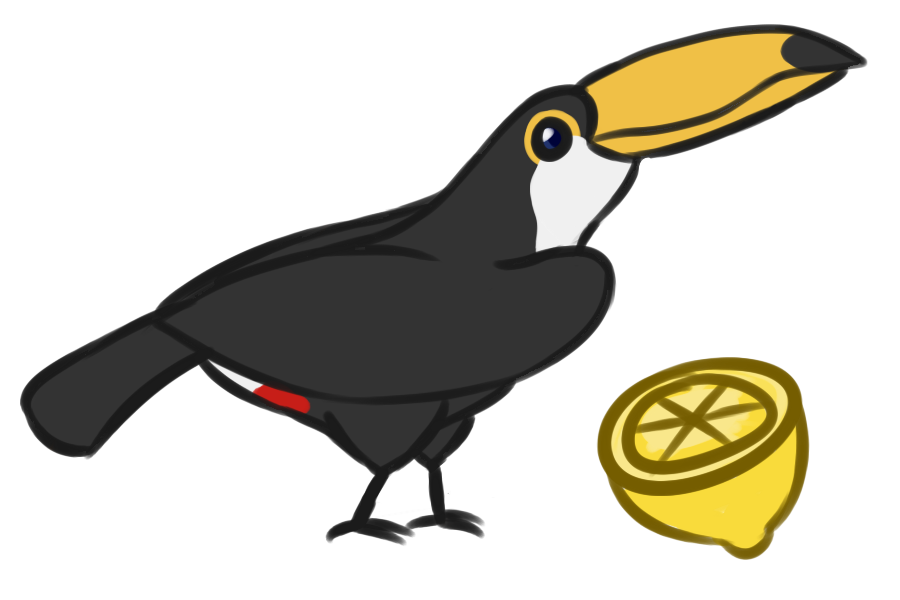 Jungle clipart toucan. Toco by kajuale pinterest