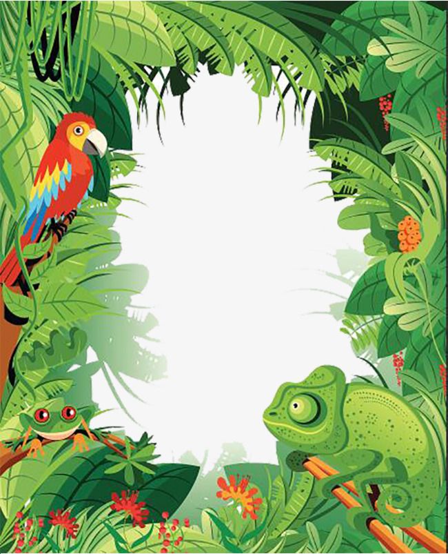 Jungle clipart tropical rainforest. Animals jojoart art 