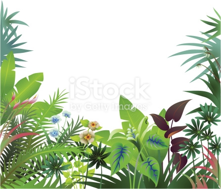 jungle clipart vegetation