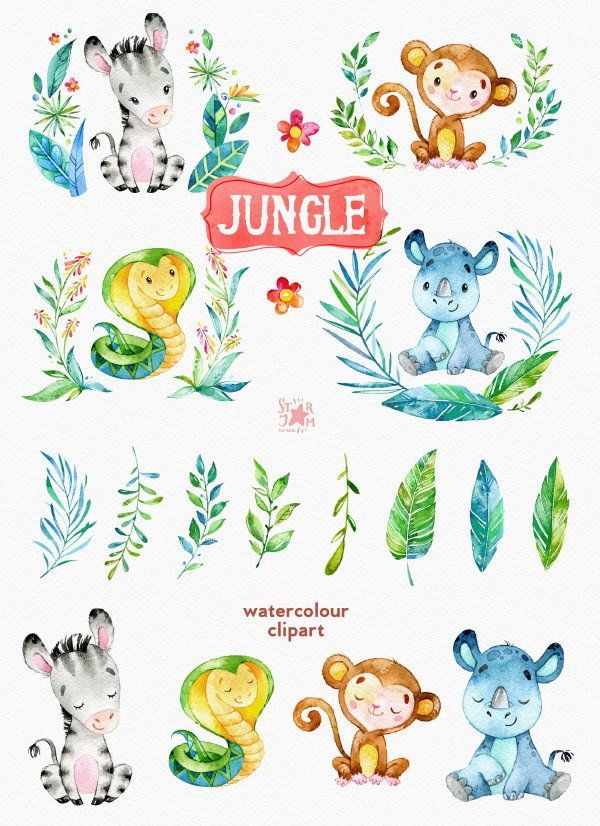 jungle clipart watercolor