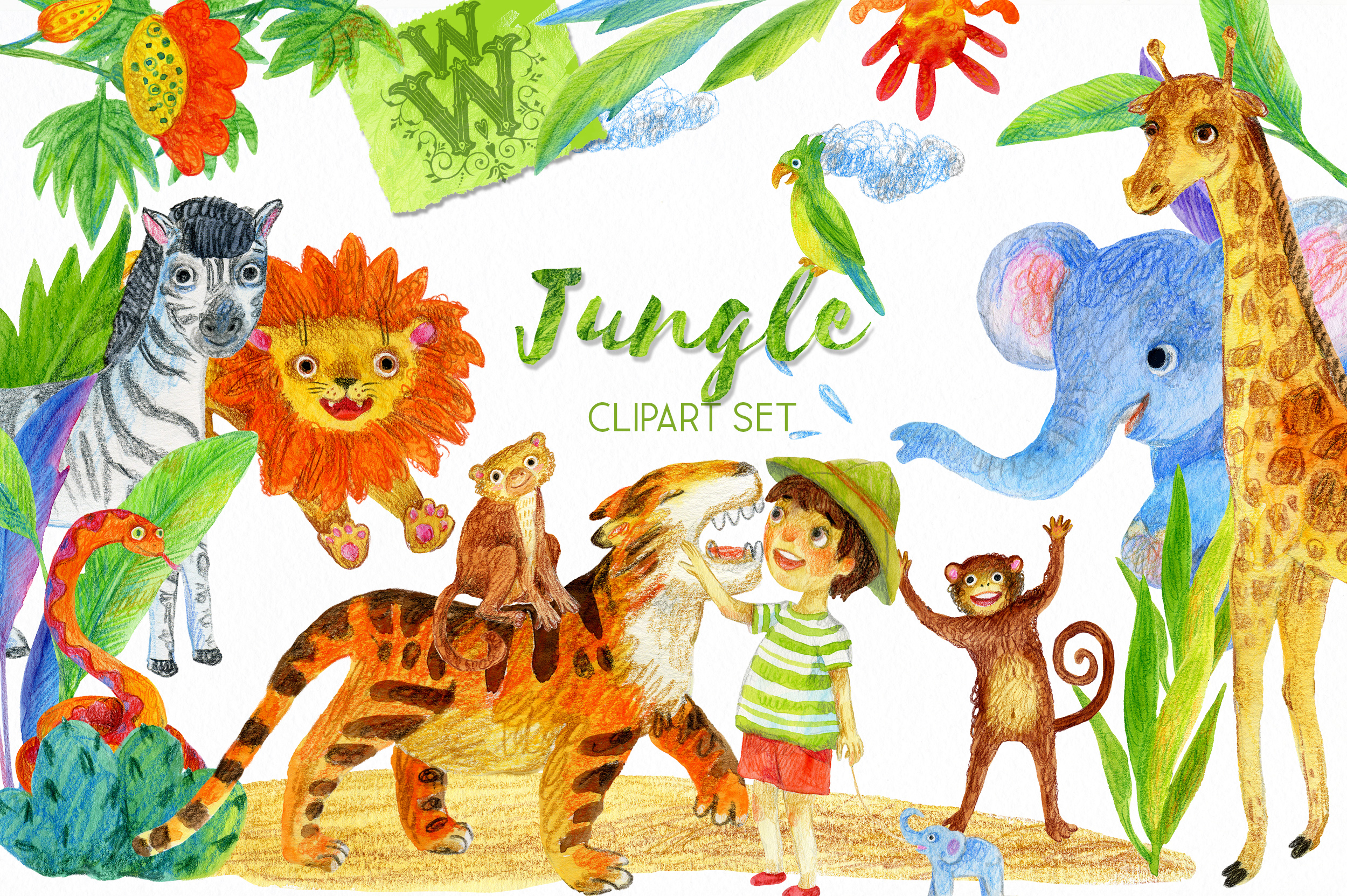 jungle clipart zoo