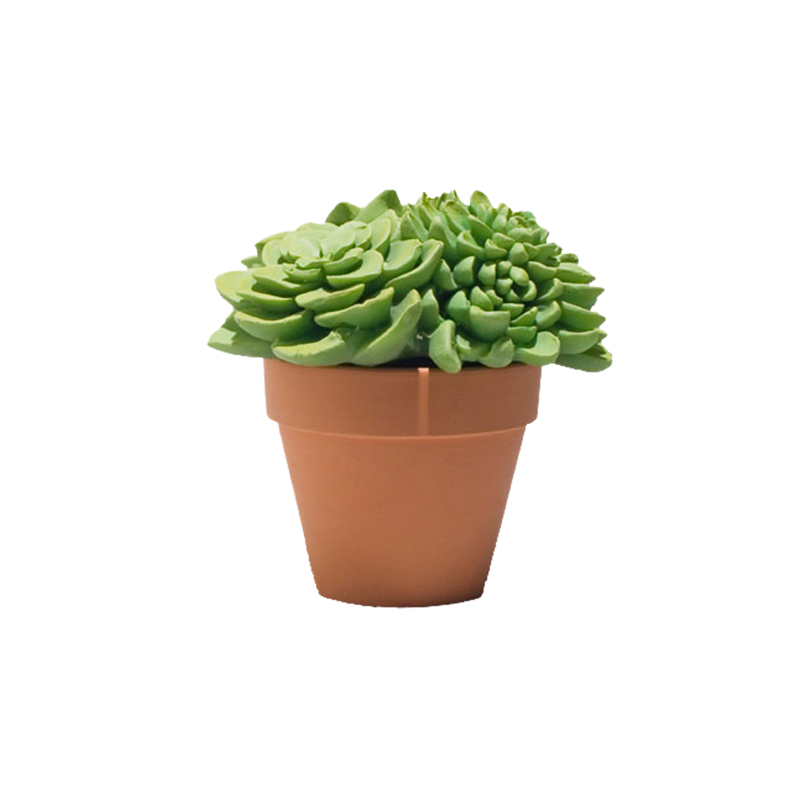 jury clipart jury duty