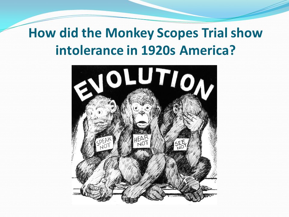 jury clipart scopes trial