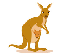 Free clip art pictures. Kangaroo clipart