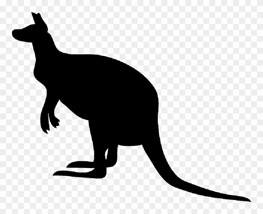 kangaroo clipart animal hop