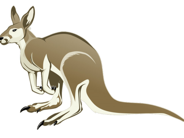 kangaroo clipart baby