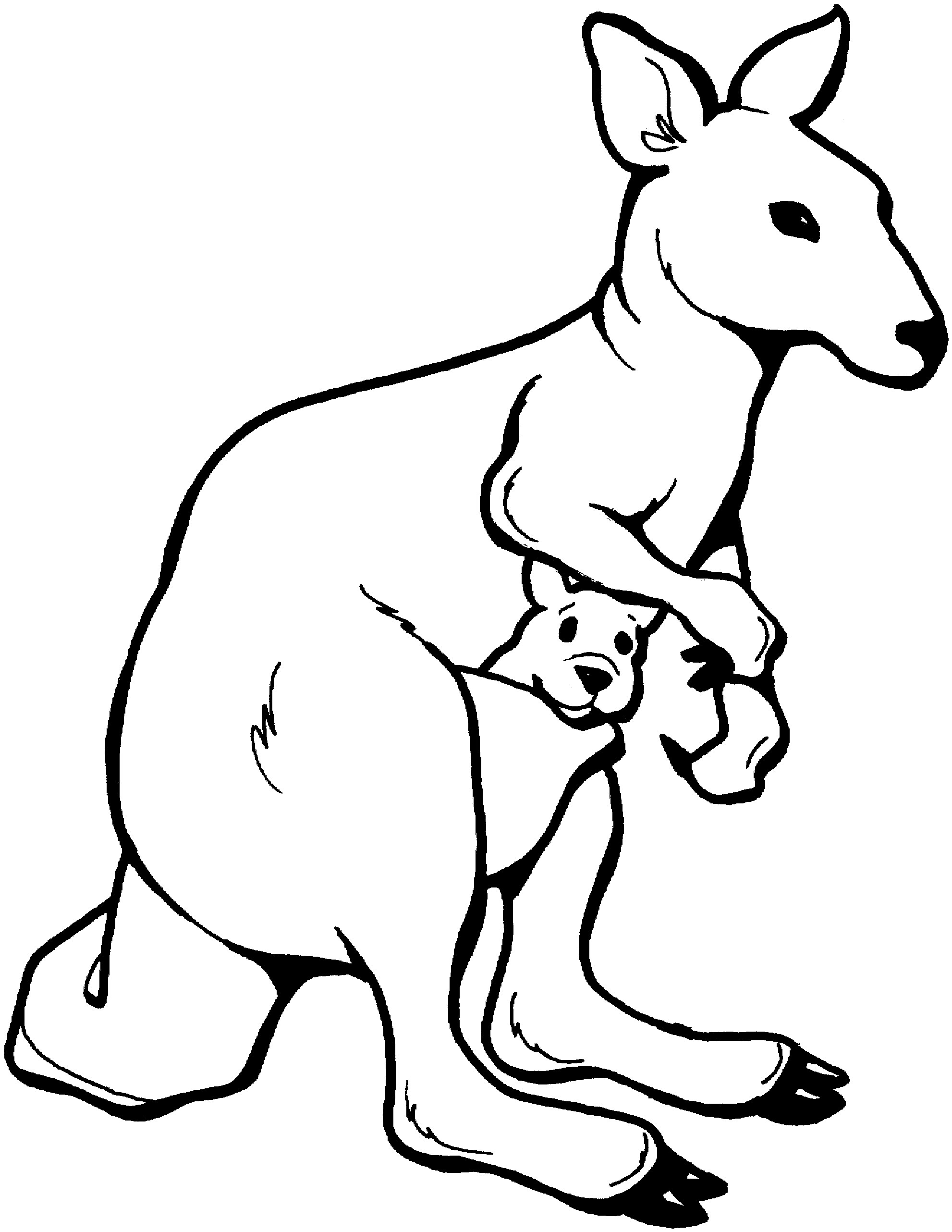 Kangaroo clipart black and white. Free images wikiclipart 
