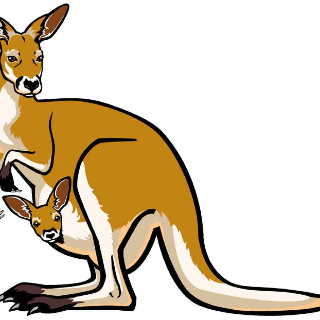 Kangaroo brown