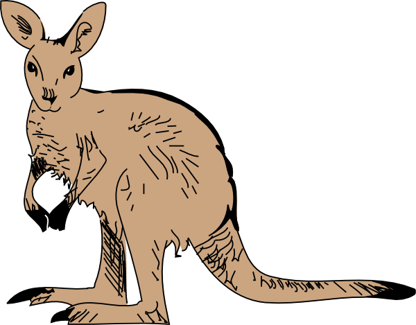 kangaroo clipart brown