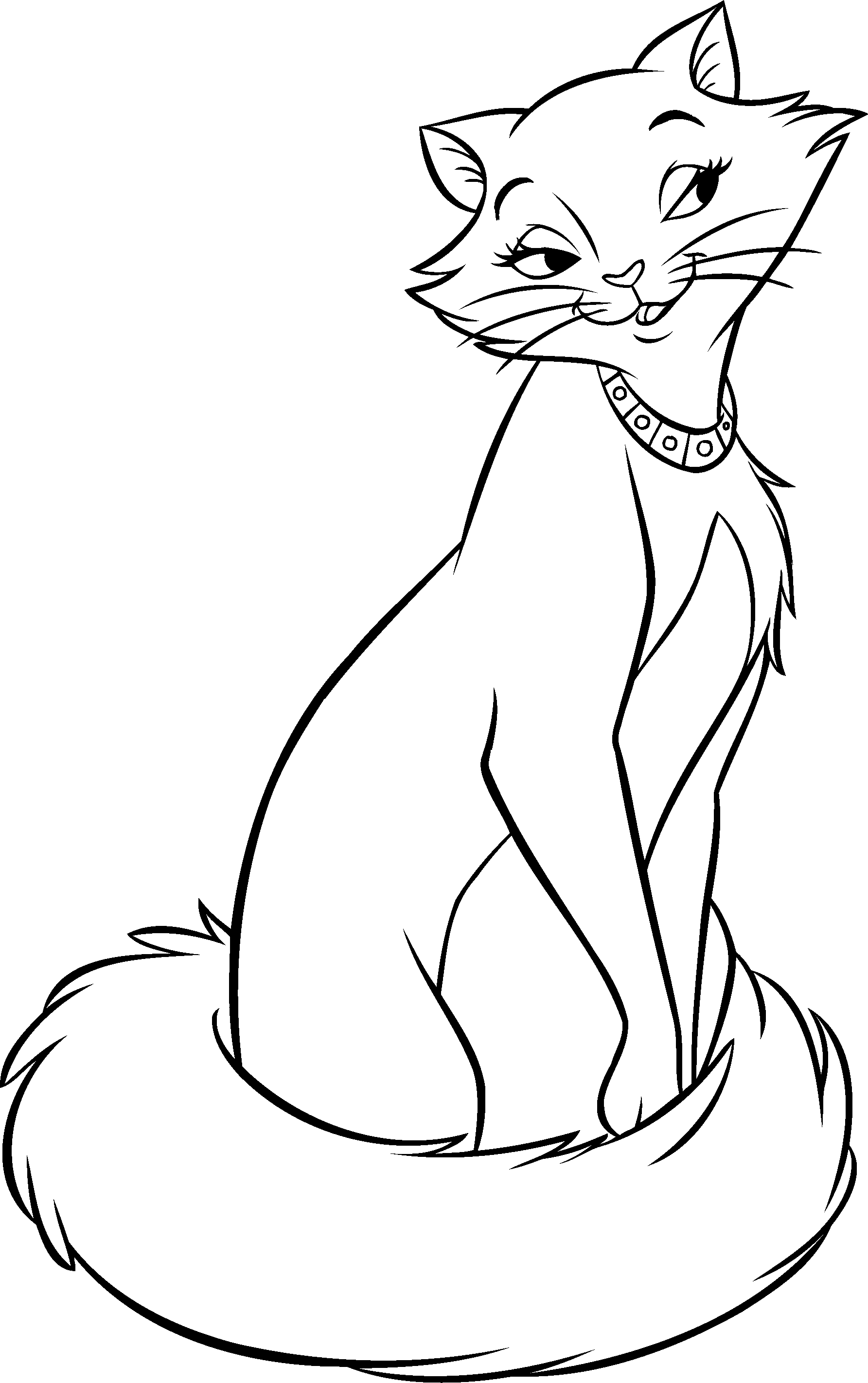 Cat color pages printable. Kangaroo clipart colouring page