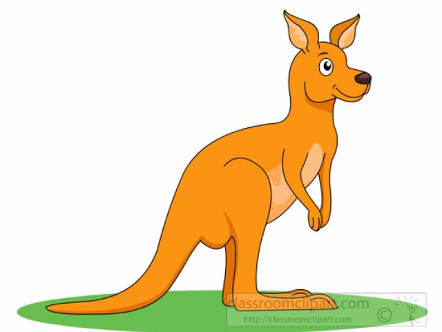 Kangaroo clipart cool. Free standing download clip
