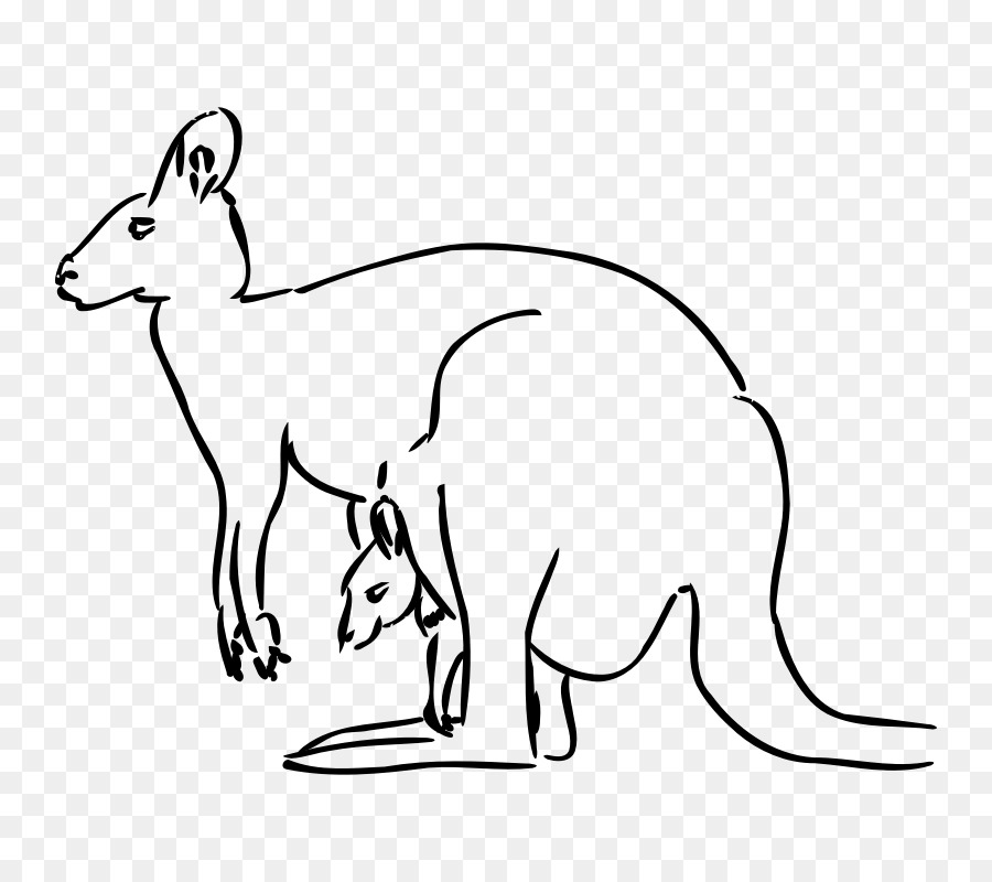 kangaroo clipart drawing