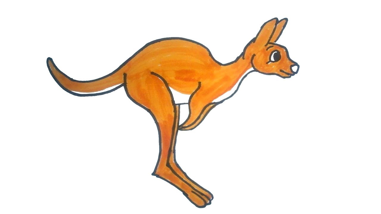 kangaroo clipart easy
