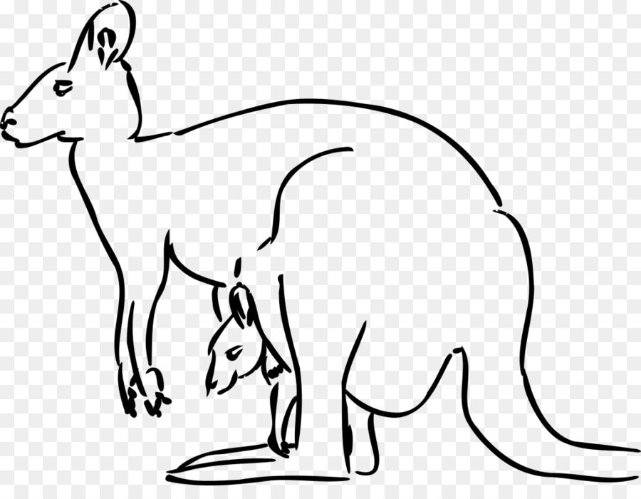 Koala cartoon png download. Kangaroo clipart gambar