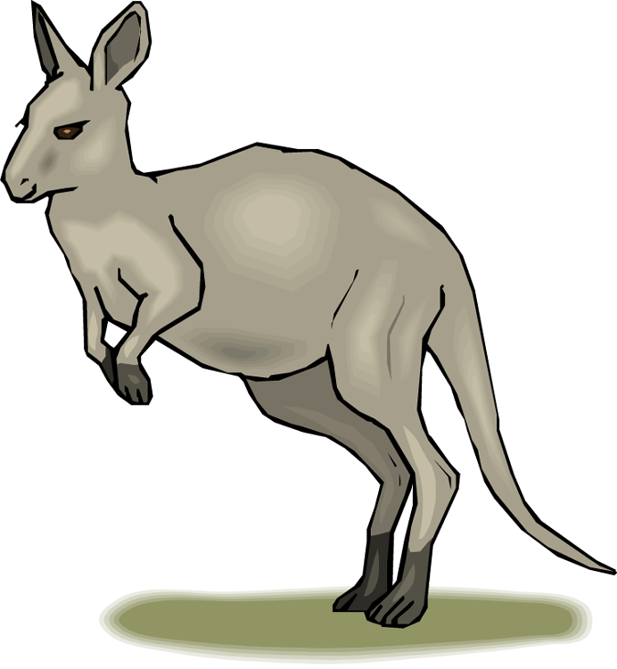 kangaroo clipart gambar