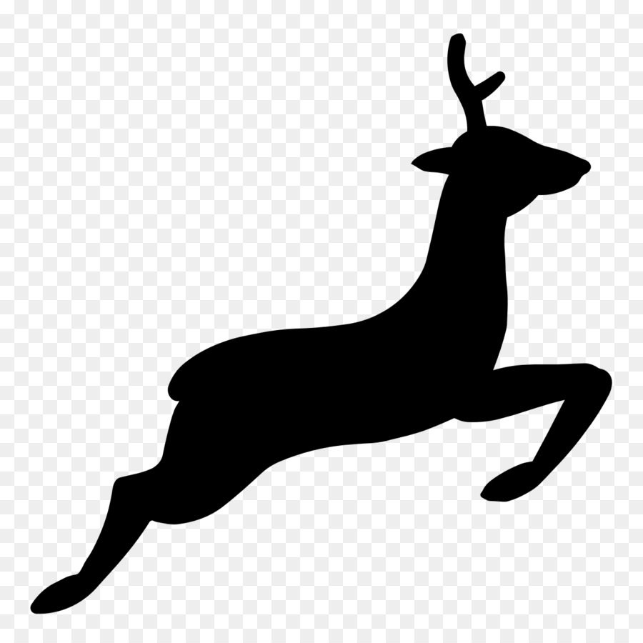 Kangaroo clipart gnu. Cartoon laptop deer 