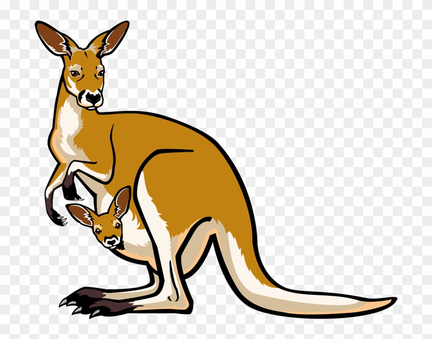 kangaroo clipart jumping