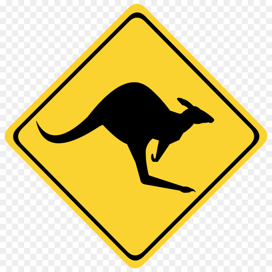 kangaroo clipart kangaroo australia