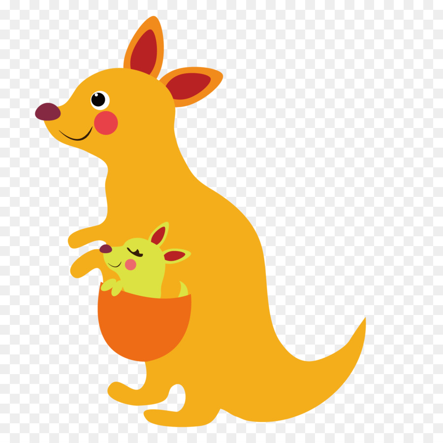 kangaroo clipart kangaroo care