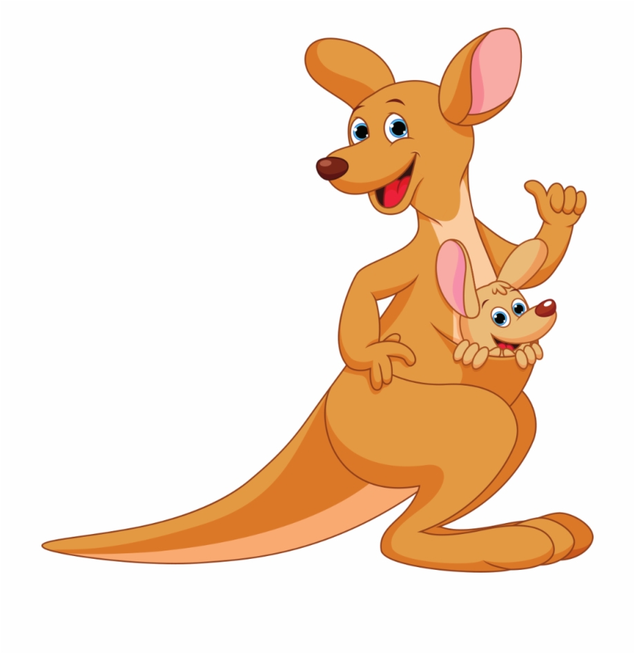 kangaroo clipart kangaroo pouch