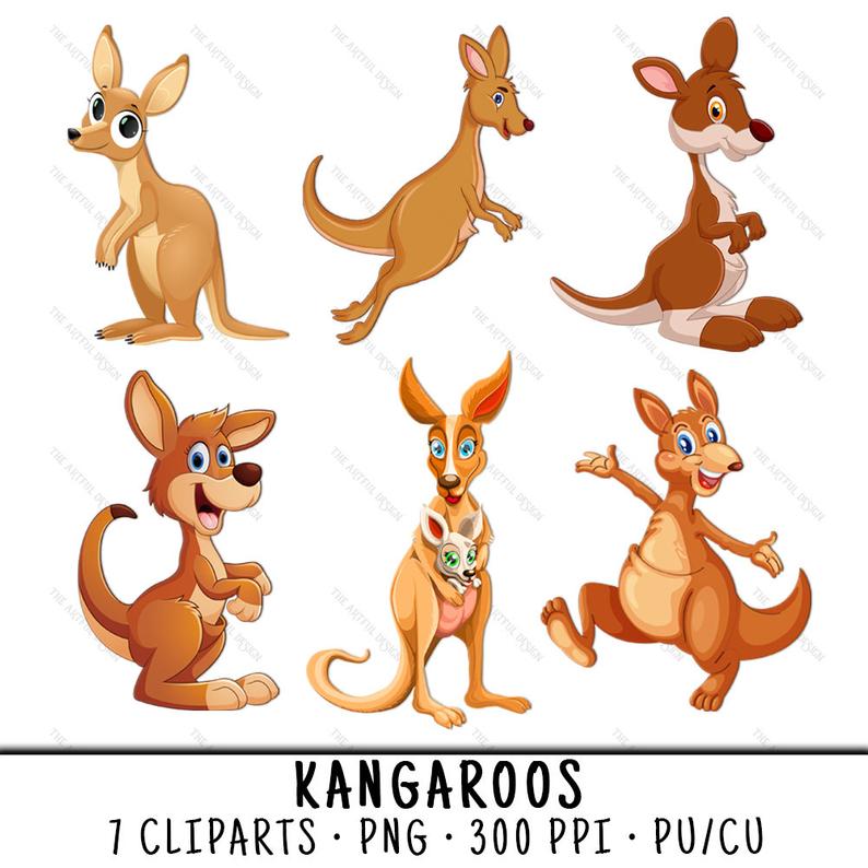 kangaroo clipart kangeroo