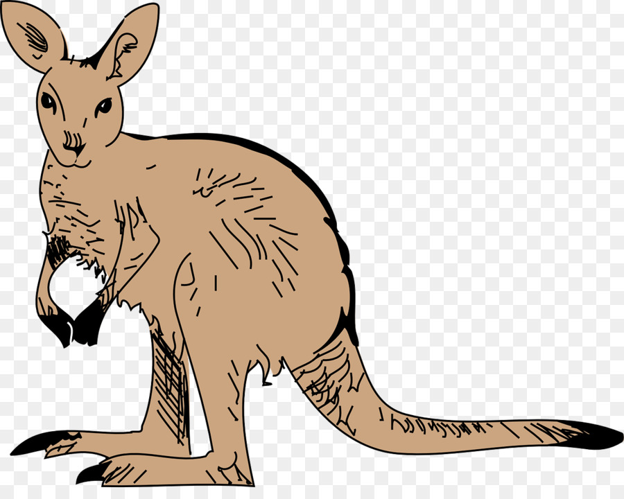 Kangaroo clipart kangeroo. Christmas drawing illustration cartoon