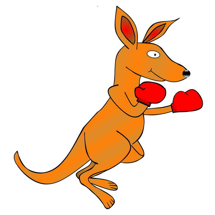 kangaroo clipart kick