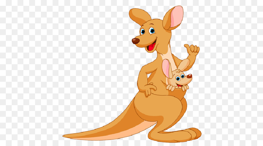 kangaroo clipart mammal