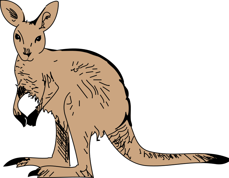 kangaroo clipart offspring
