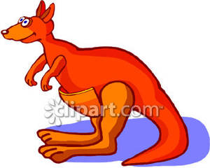 Cartoon royalty free picture. Kangaroo clipart orange