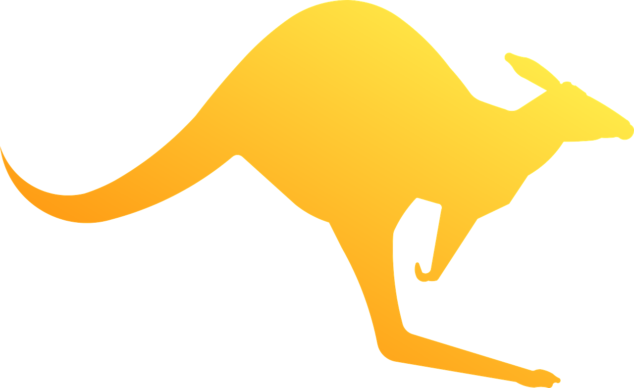Marsupial animal australian wild. Kangaroo clipart person australia