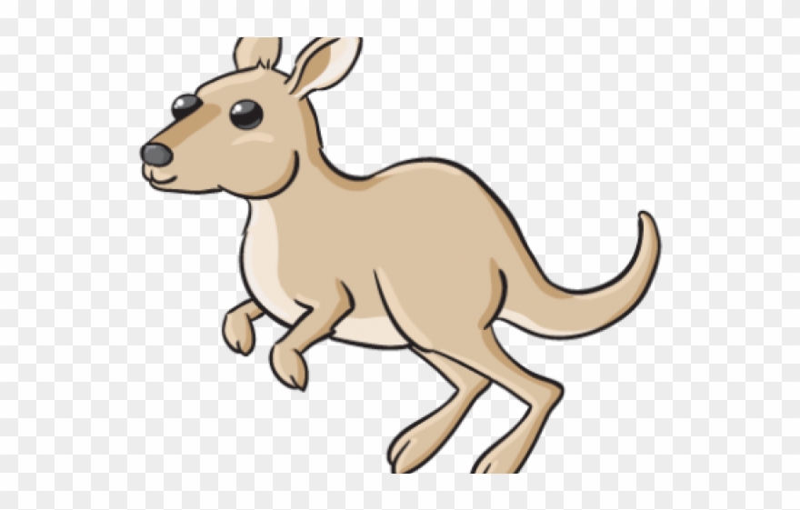 kangaroo clipart small cartoon