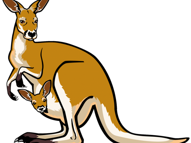 kangaroo clipart toon