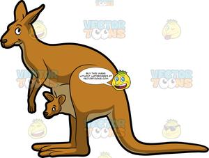 kangaroo clipart two