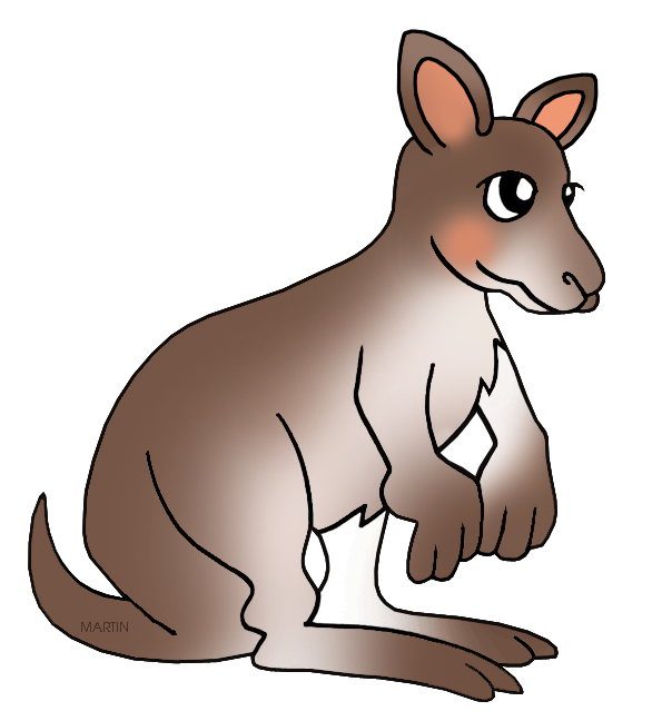 kangaroo clipart vertebrate