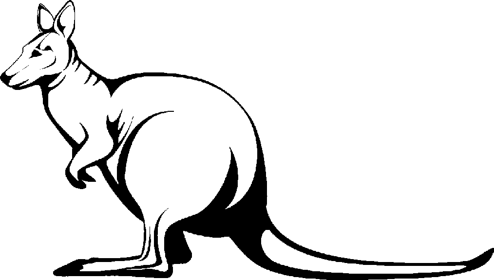 kangaroo clipart vertebrate