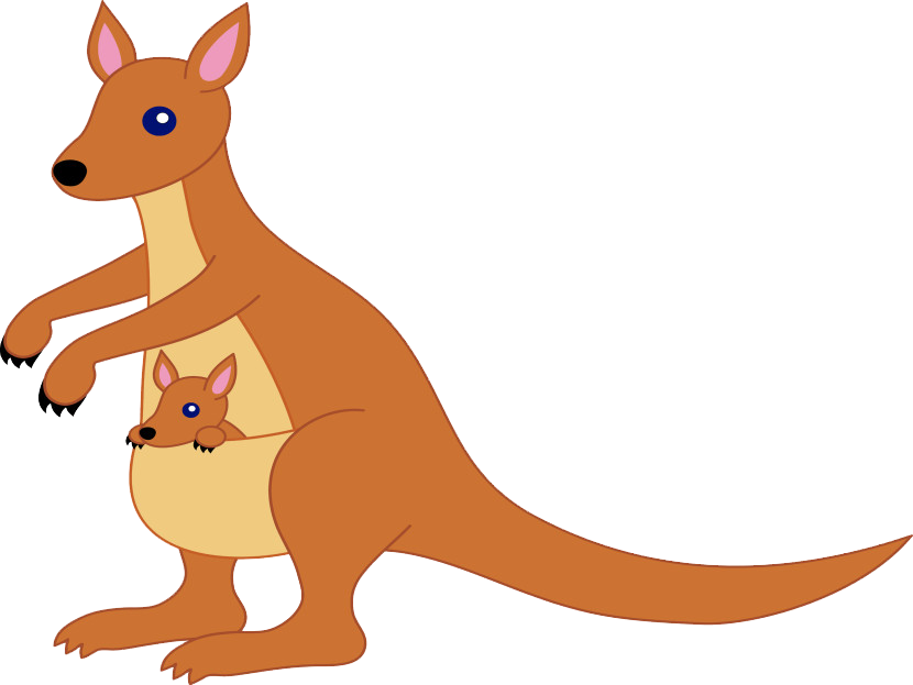 kangaroo clipart vertebrate