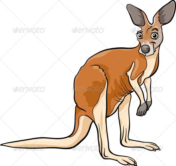 Kangaroo clipart zoo animal. Cartoon illustration 