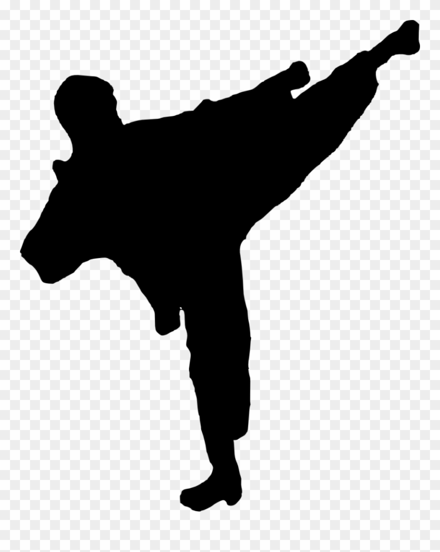 karate clipart kung fu