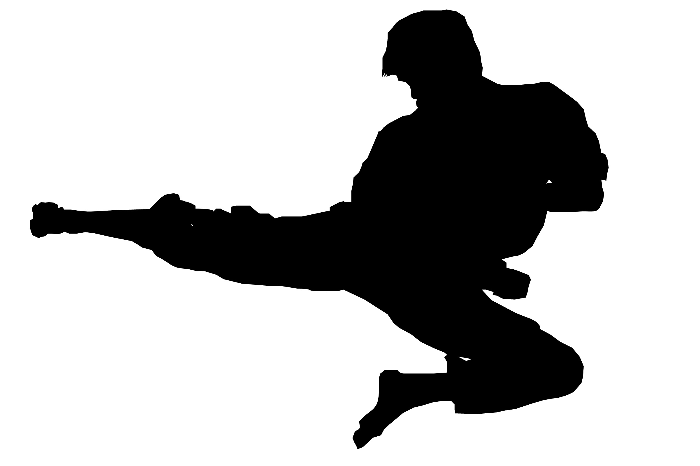 karate clipart silhouette