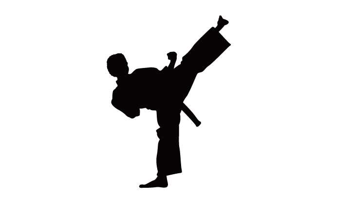 Wall decal kick martial. Karate clipart sport figure