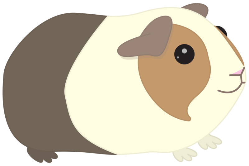 kawaii clipart guinea pig